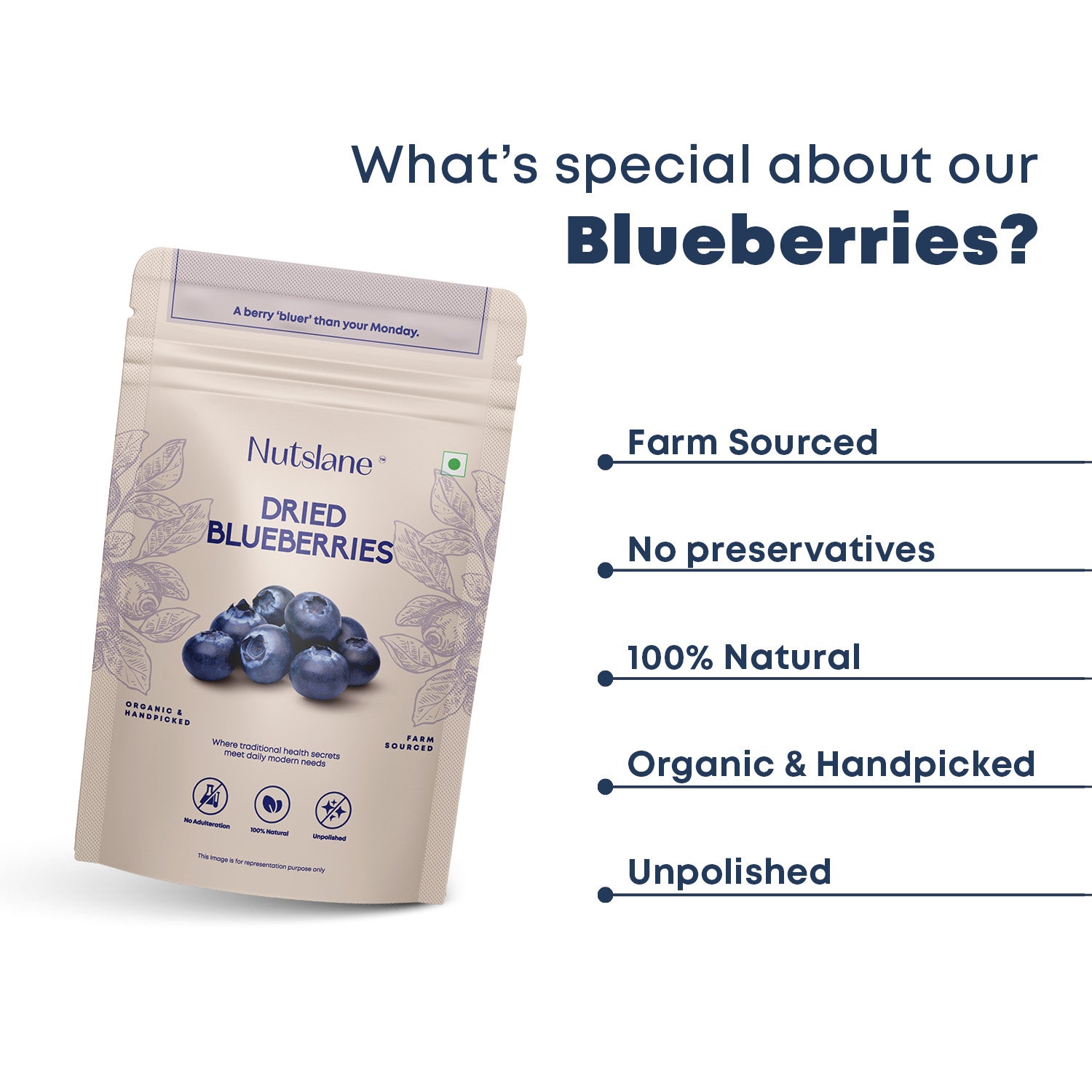 Dried Premium Whole Californian Blueberries